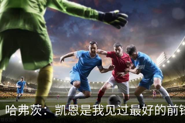 哈弗茨：凯恩是我见过最好的前锋之一；谁进球并不重要