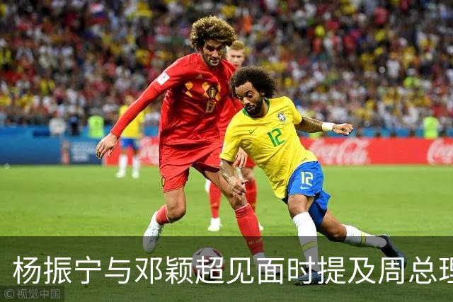 杨振宁与邓颖超见面时提及周总理：他已病重，为何不让他好好休息？